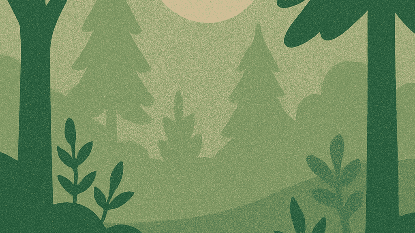 Header image for Tribe talk