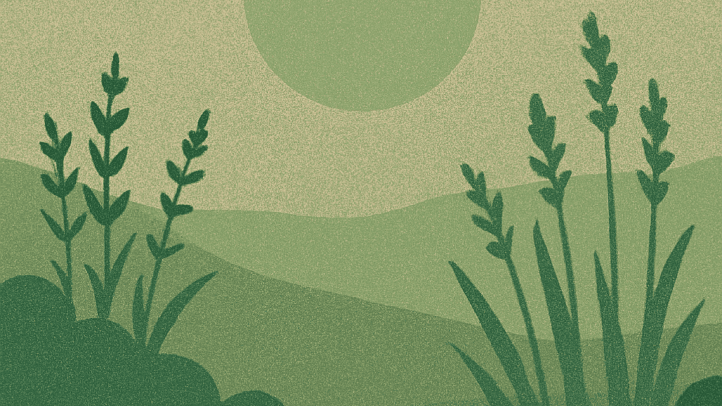 Header image for De Ruigte